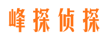 鄂伦春旗找人公司